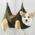TidyPaws product photo